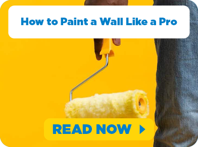 Blog - Paint Wall