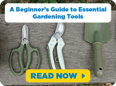 Blog - Garden Tools