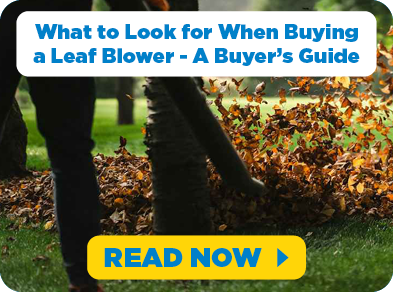 Blog - Leaf Blower