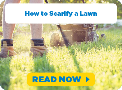 Blog - Scarify Lawn