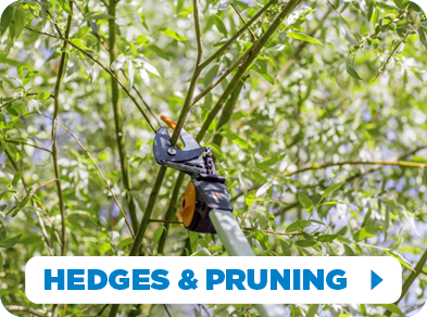 Category - Hedges and Pruning