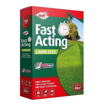 fast-growing-lawn-seed-500g