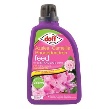 azalea-camellia-and-rhododendron-feed-1-litre