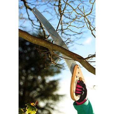 pruning-saw