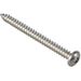 ForgeFix Self-Tapping Screw Pozi Compatible Pan A2 SS 2in x 10 ForgePack 8               