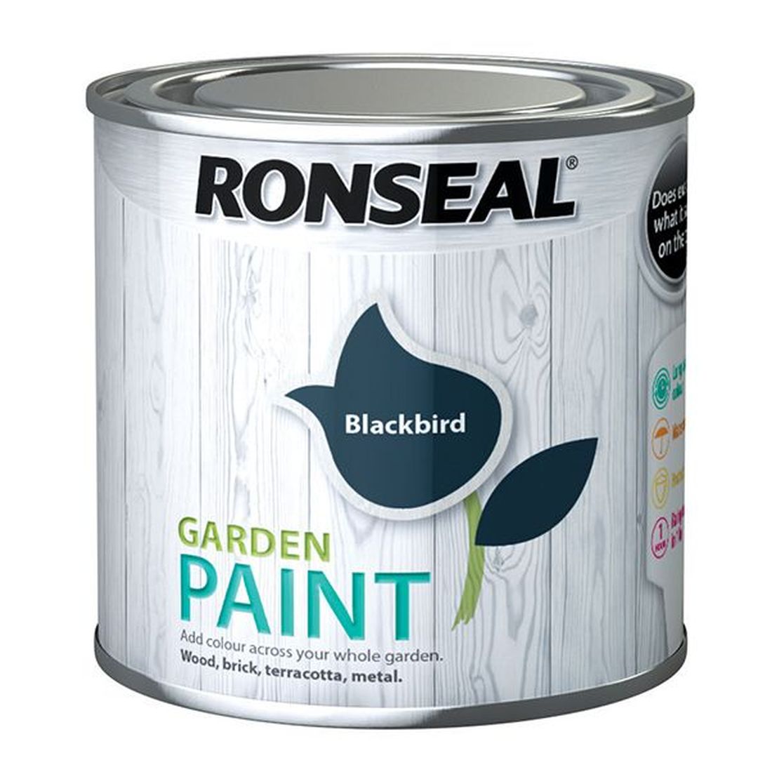 Ronseal Garden Paint Black Bird 250ml     
